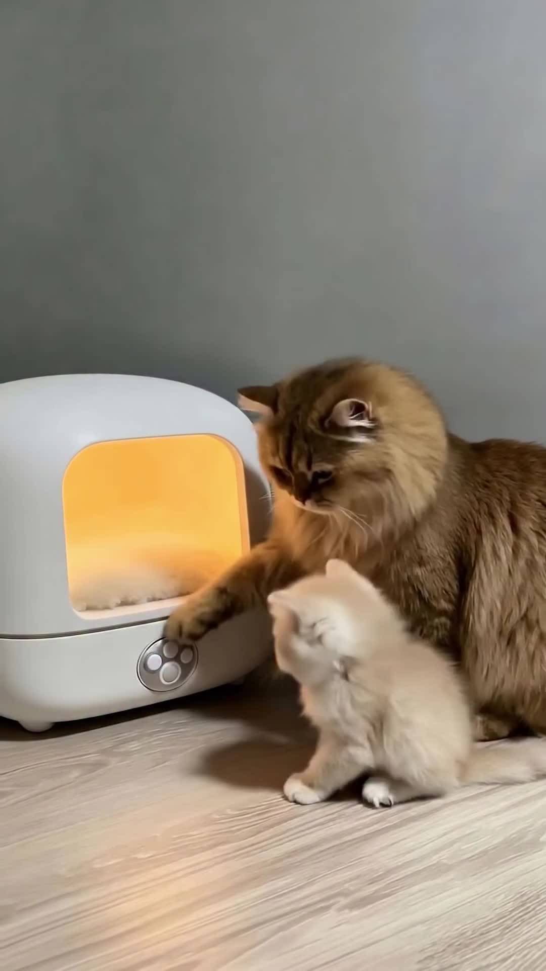 @middlepets