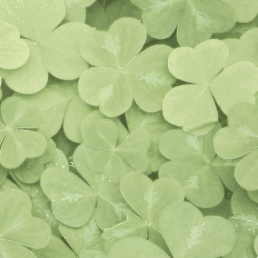 @🍀 ⩊ ⓐ𝕣ᵗ𝕚ⓔ ♡ˢ   𝕙ⓘˢ  ⓕ/𝕠ˢ