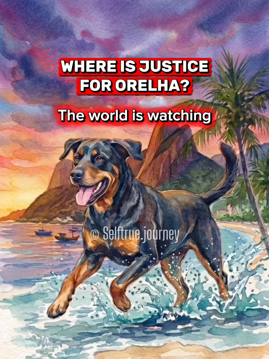 @selftrue.journey