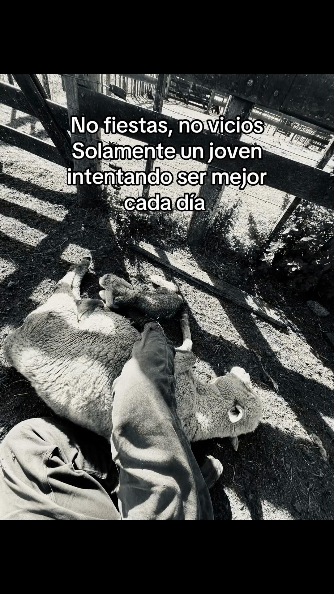 @LeandroPortelaOk
