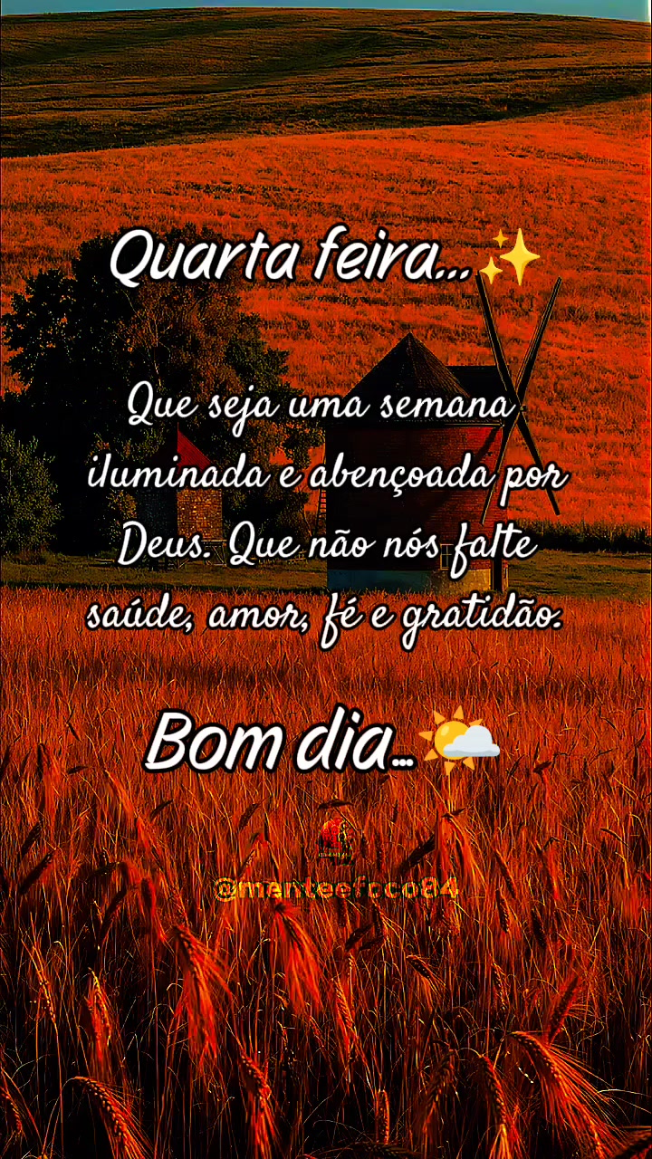 @menteefoco84
