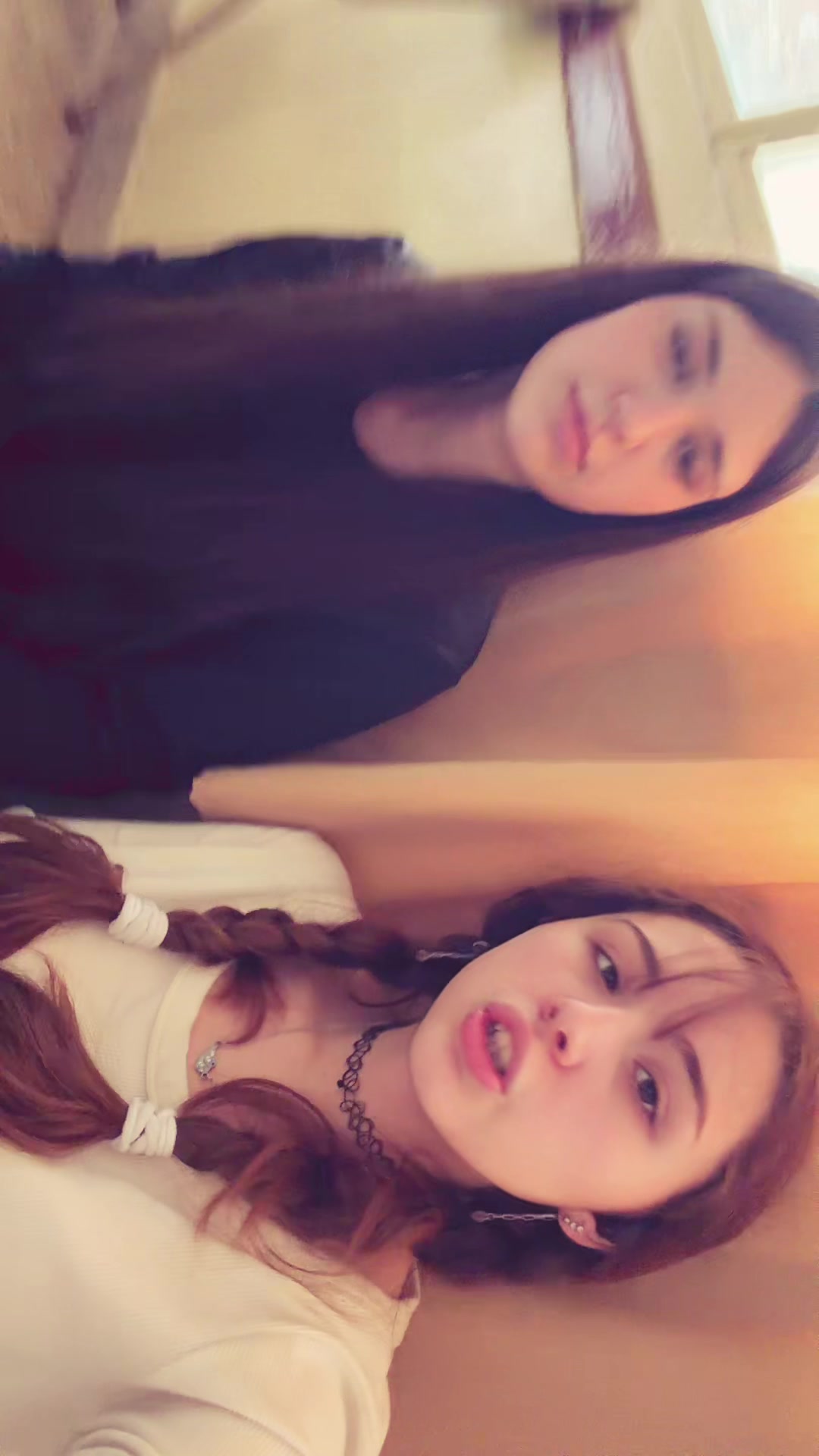 @🐩