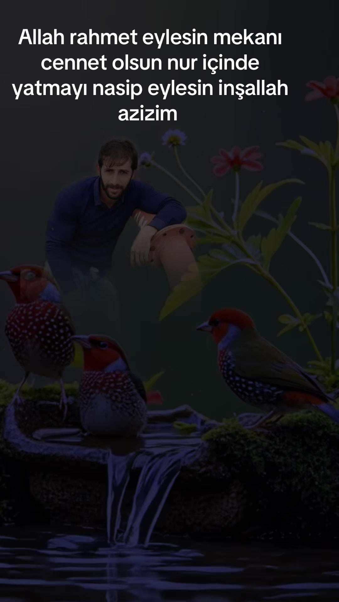 @mustafa akçakoca