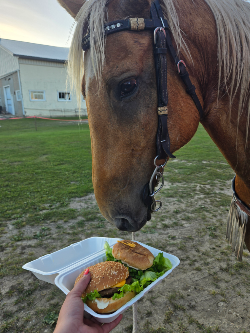 @EquestrianWeirdo