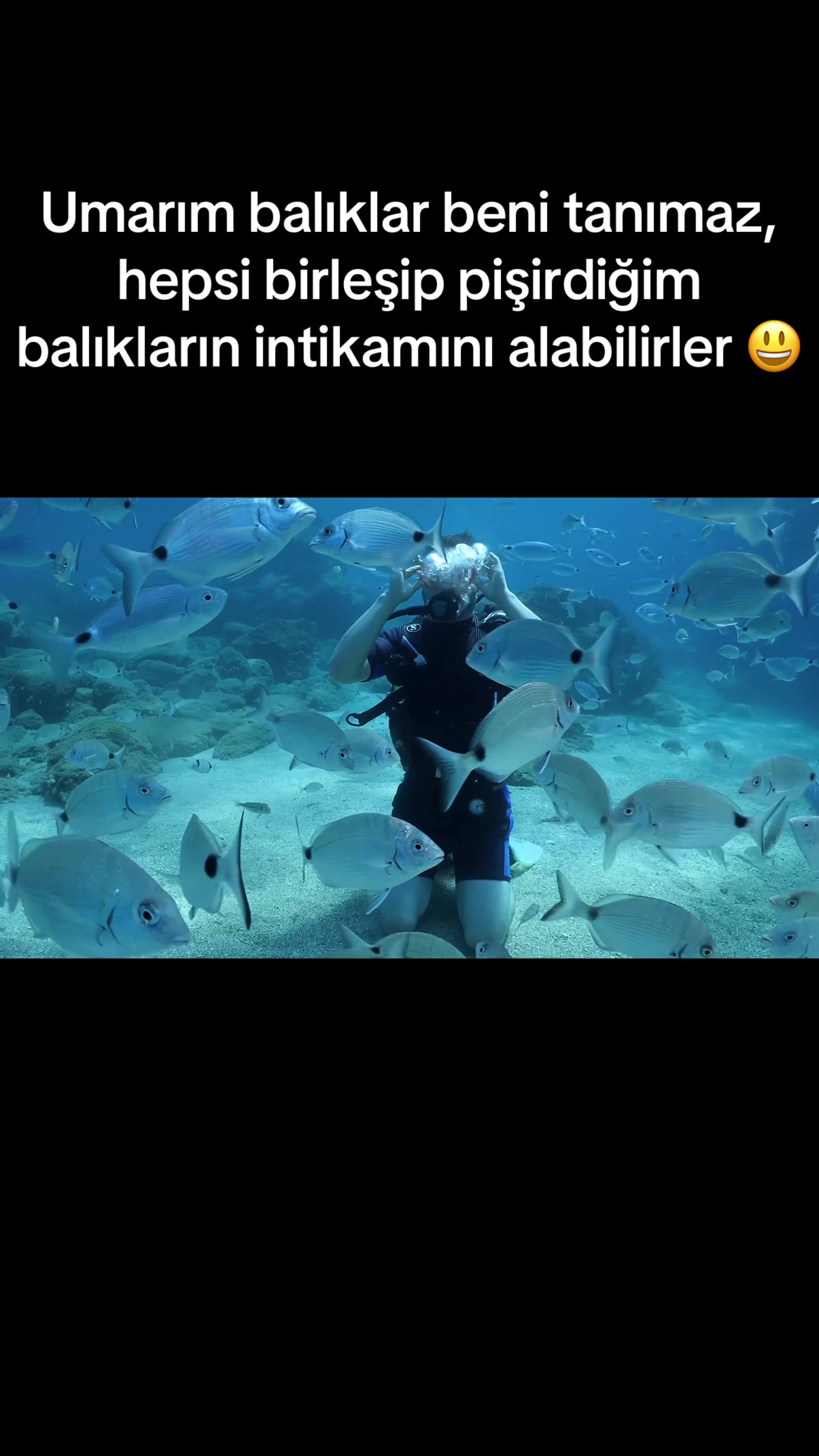 @Mehmet Gezen