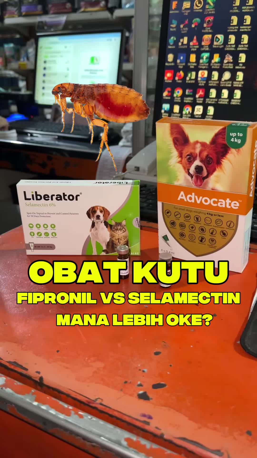 @bejo petmart