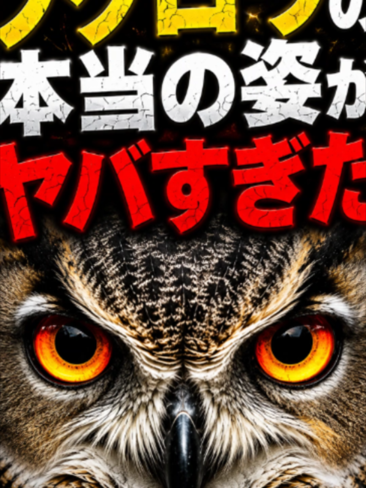@bikkuri_animal_lab