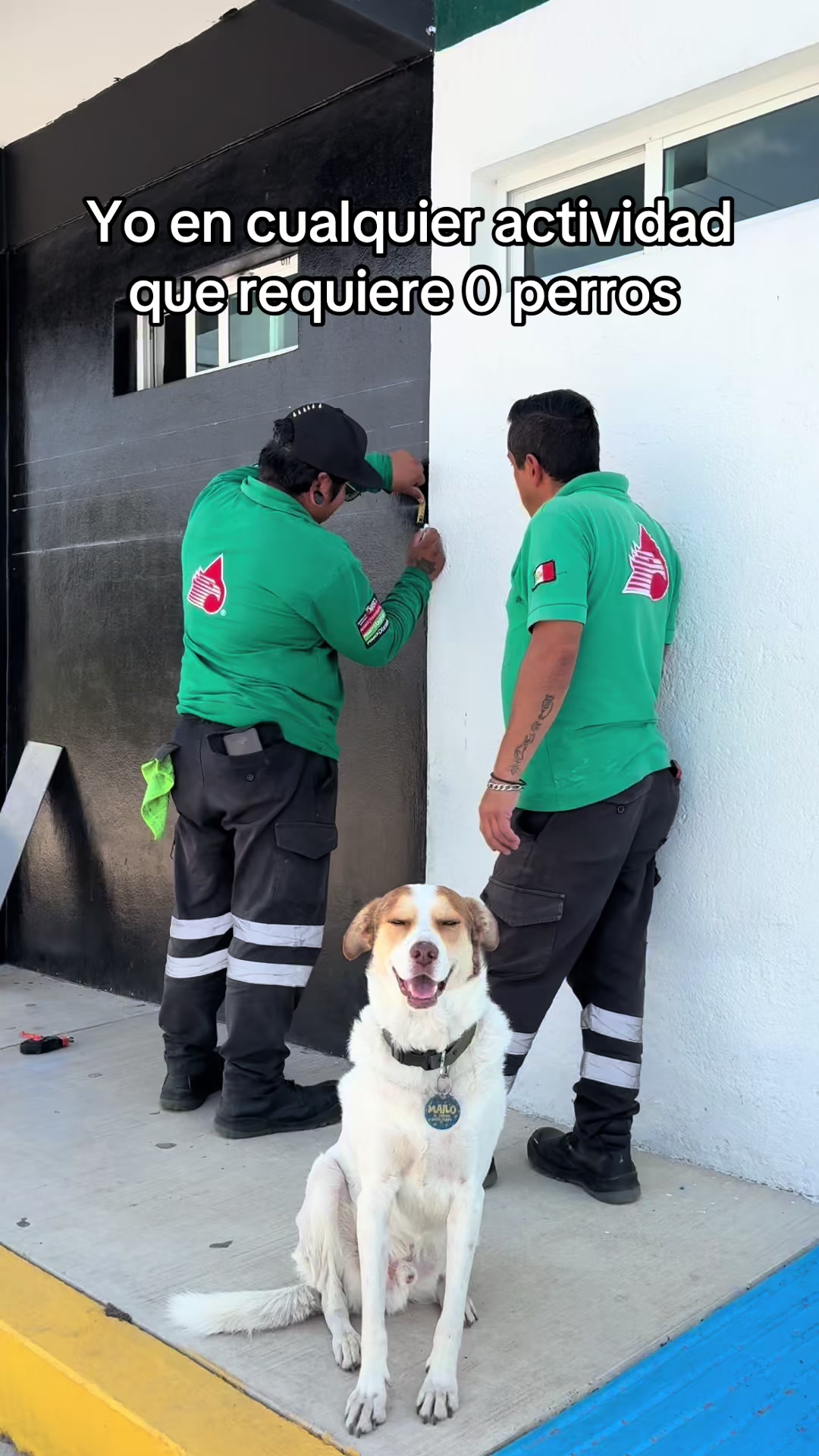 @Mailo el perro gasolinero