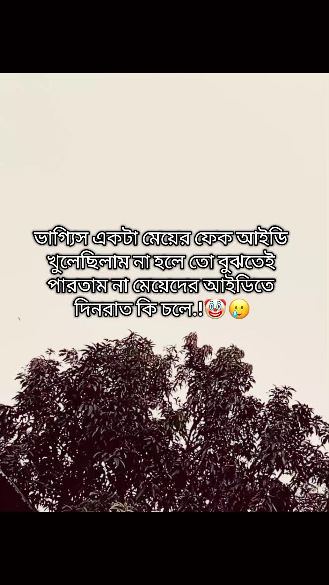 @đ_-Ayan-_đ
