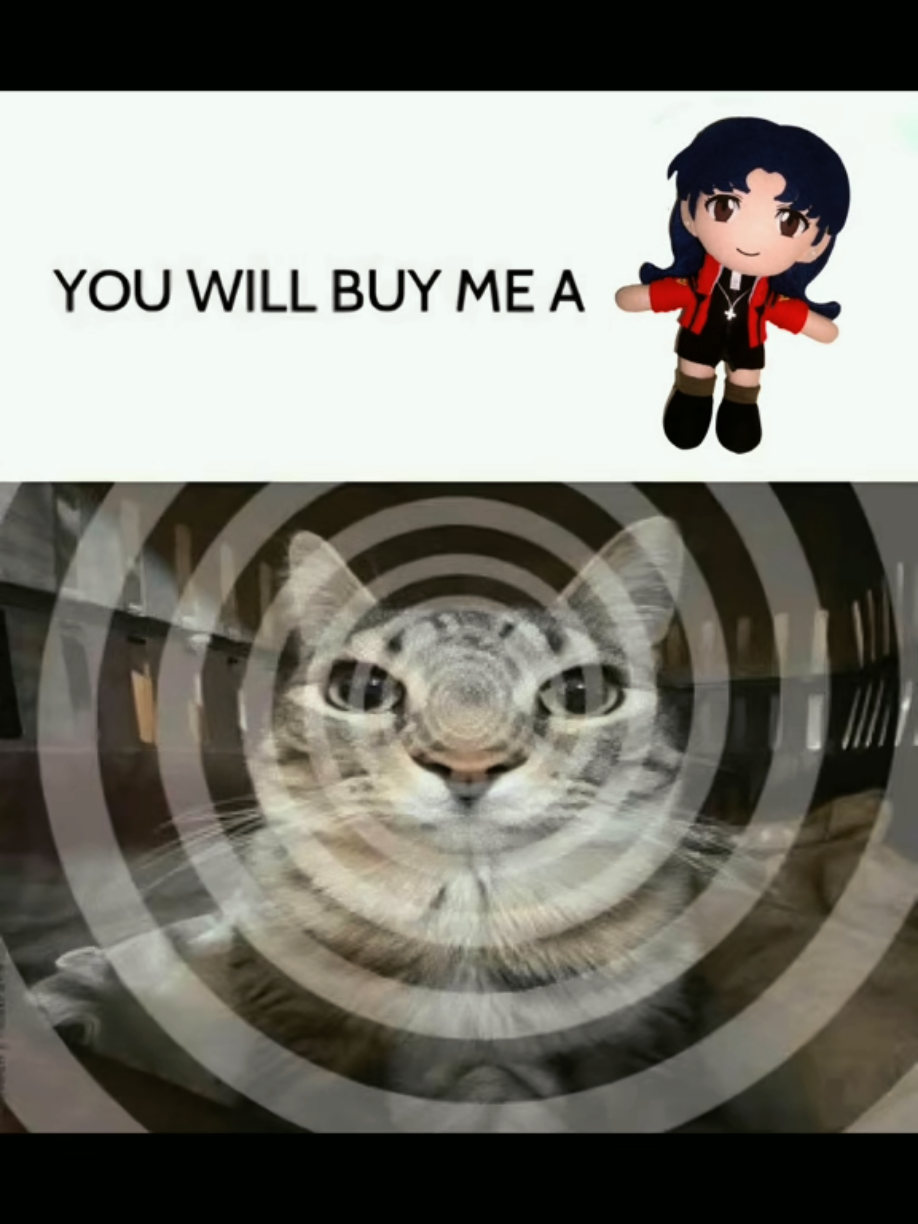 @Misato Katsuragi