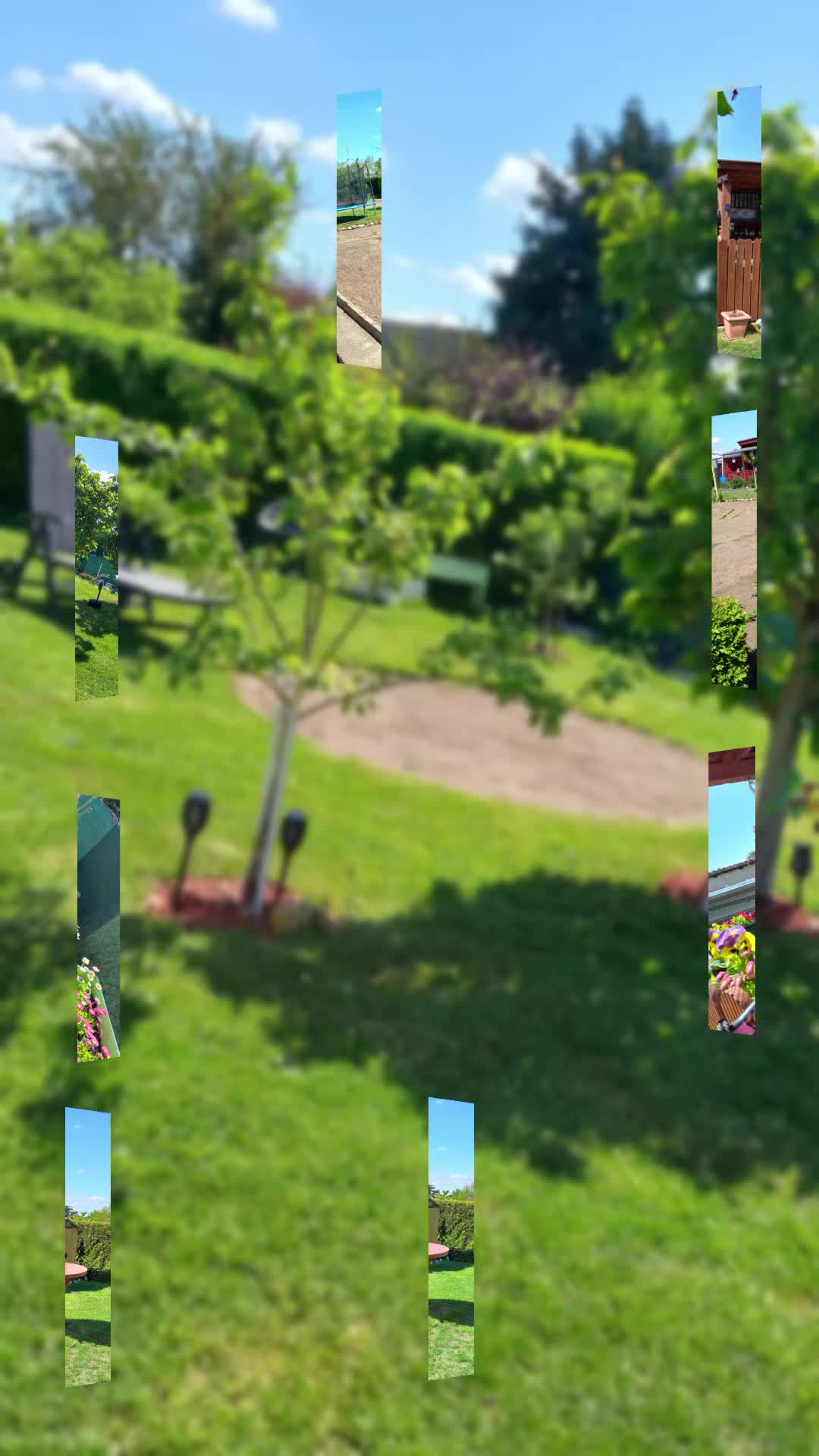 @🦚🆃𝓲𝓮𝓻🅿𝓪𝓻𝓴🆃𝓸𝓴🦚