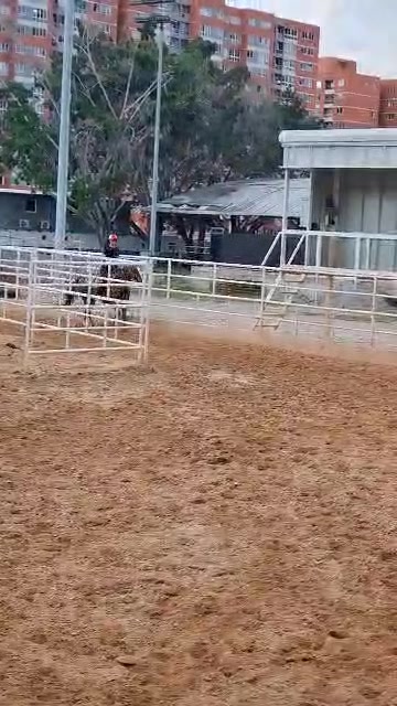 @Genesis Romero