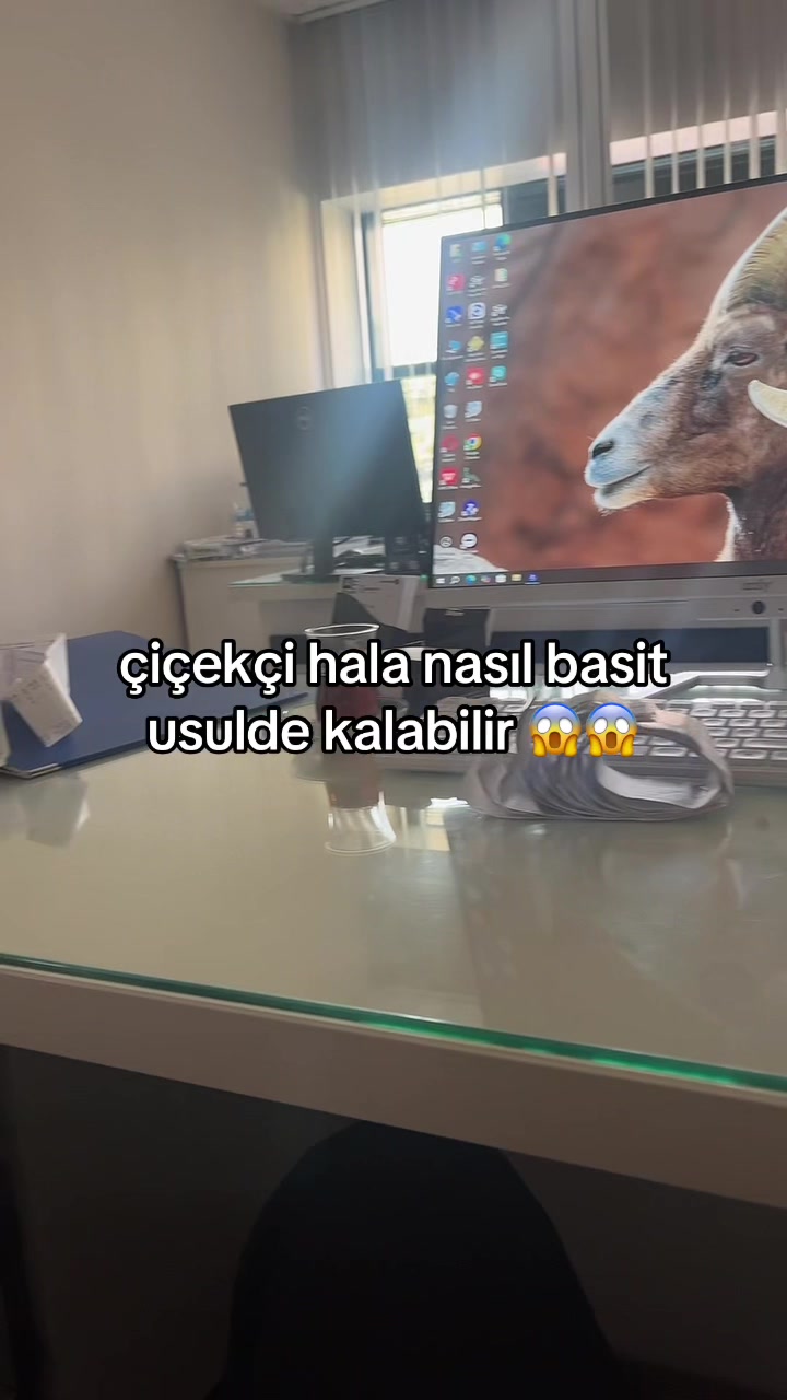 @yaz kızı