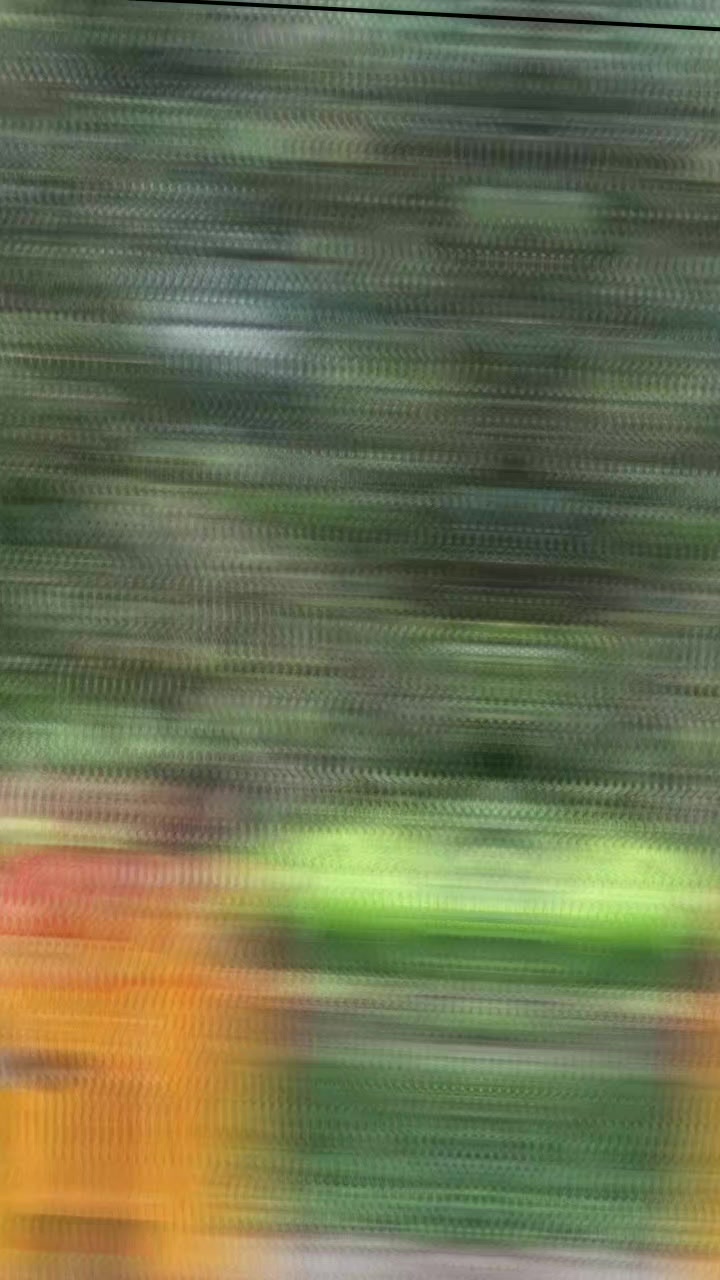 @bindushah1234