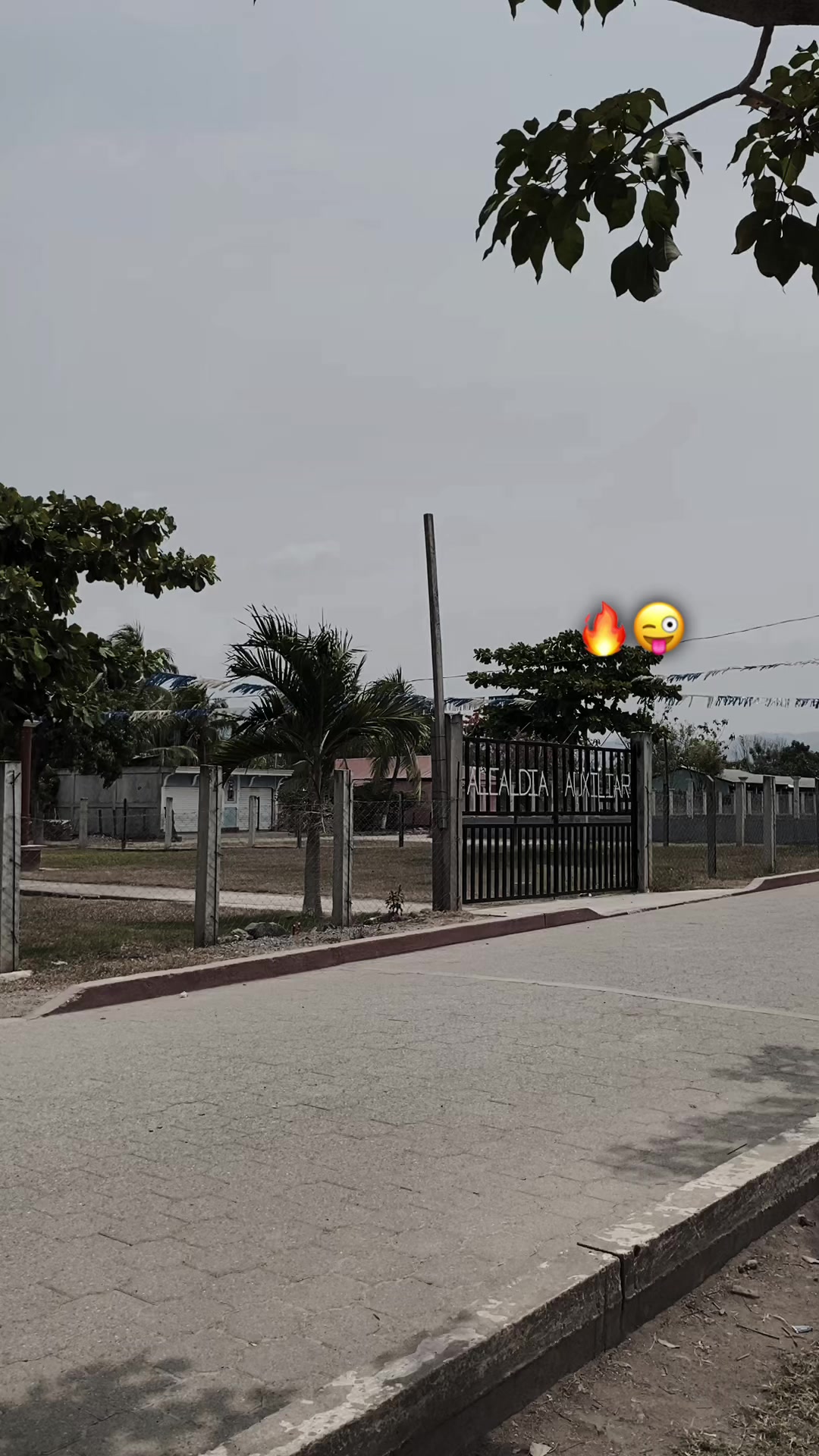 @Jxsell_xzzz