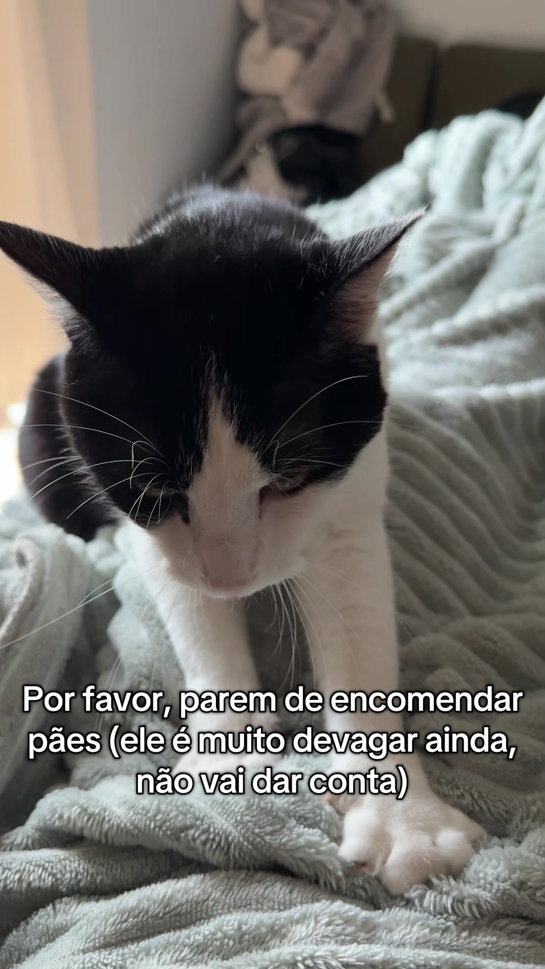 @Mayara Maciel