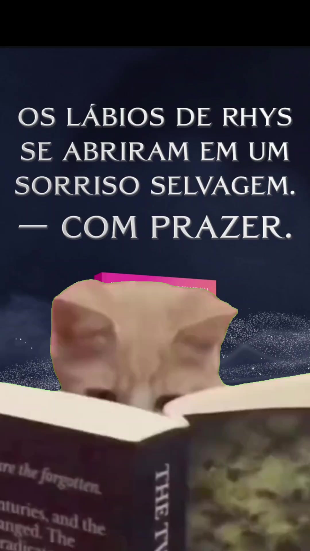 @ACOTAR BRASIL