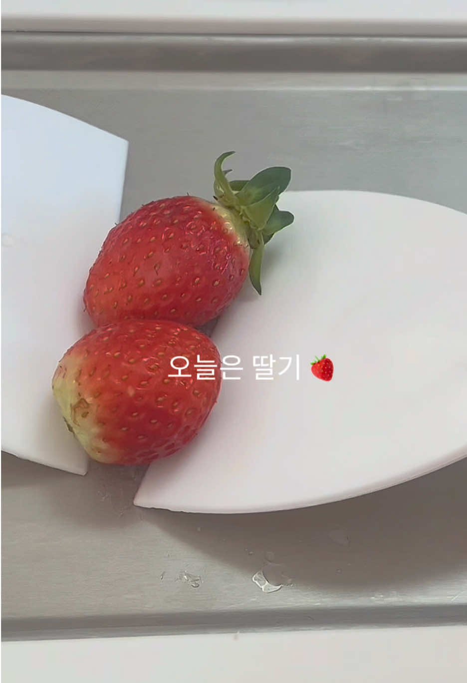 @철아따숑