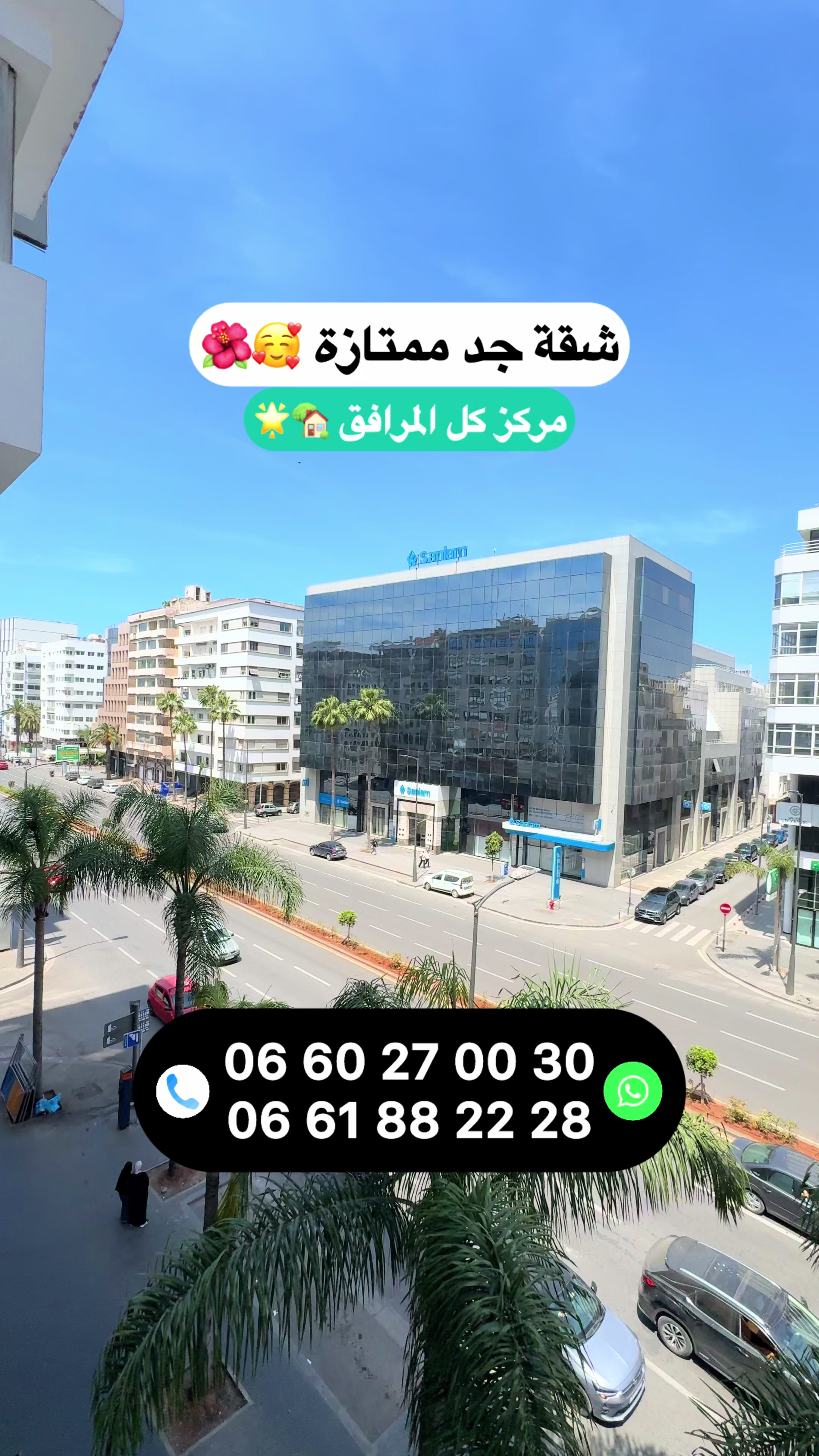 @Zakaria Haddad 🇲🇦🇵🇸