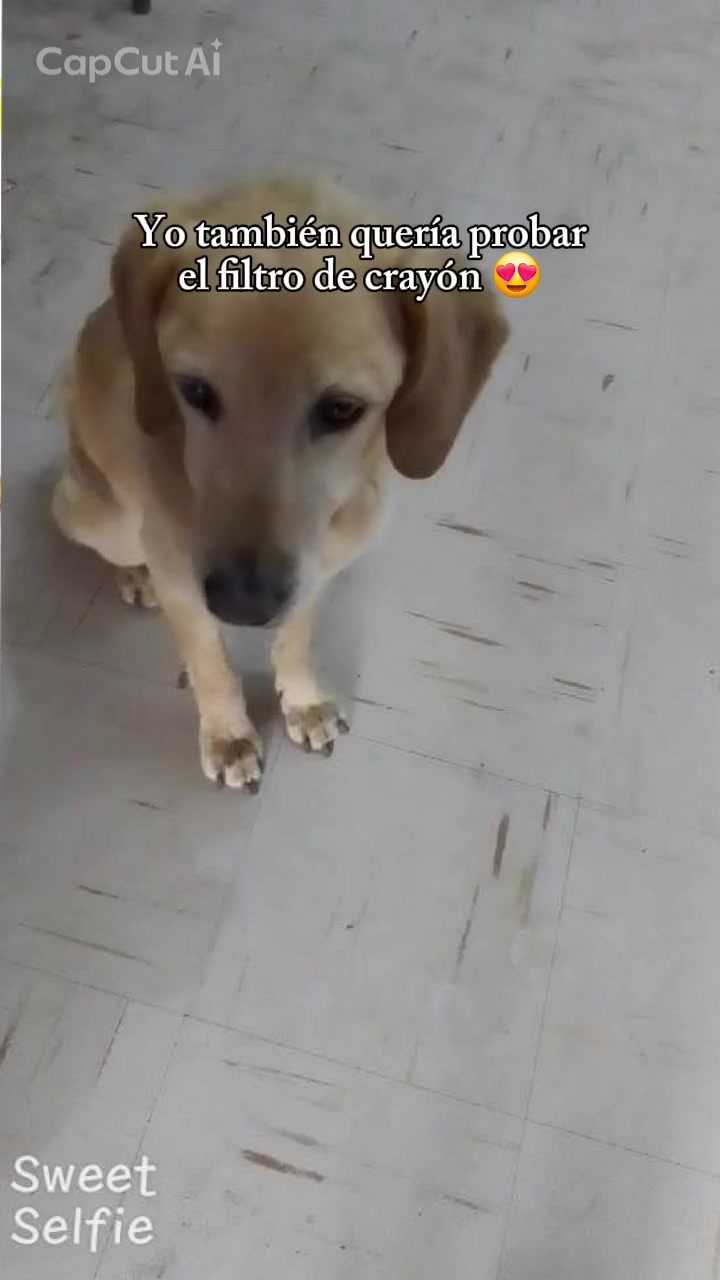 @milagrosolivera1188