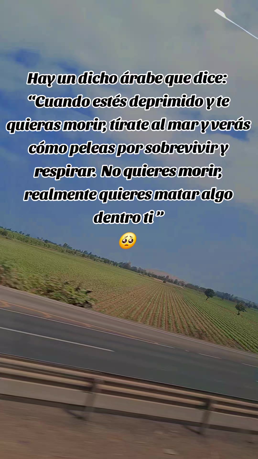 @🫰🆎Thaly M.❤️👑🦅