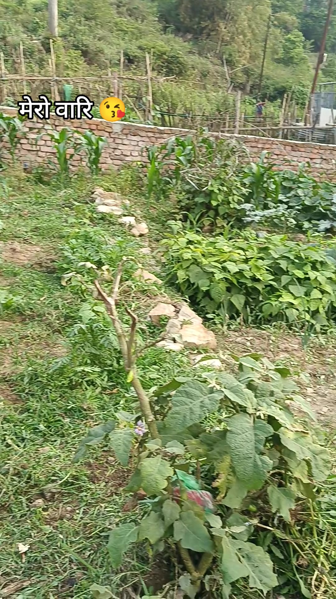 @anjju anu neupane✍️
