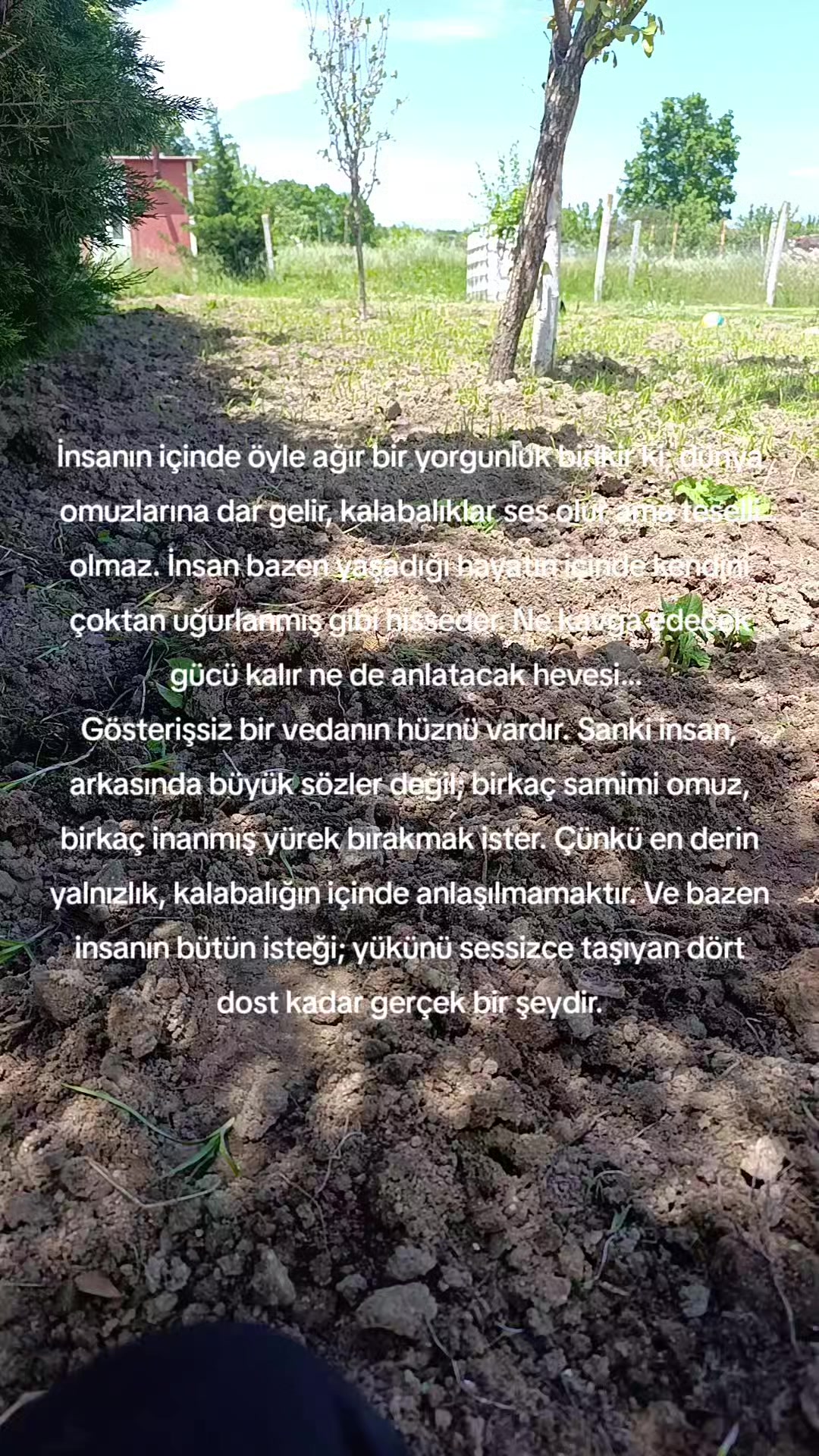 @💙&diams;️ Zeynep👑Ali &diams;️💙
