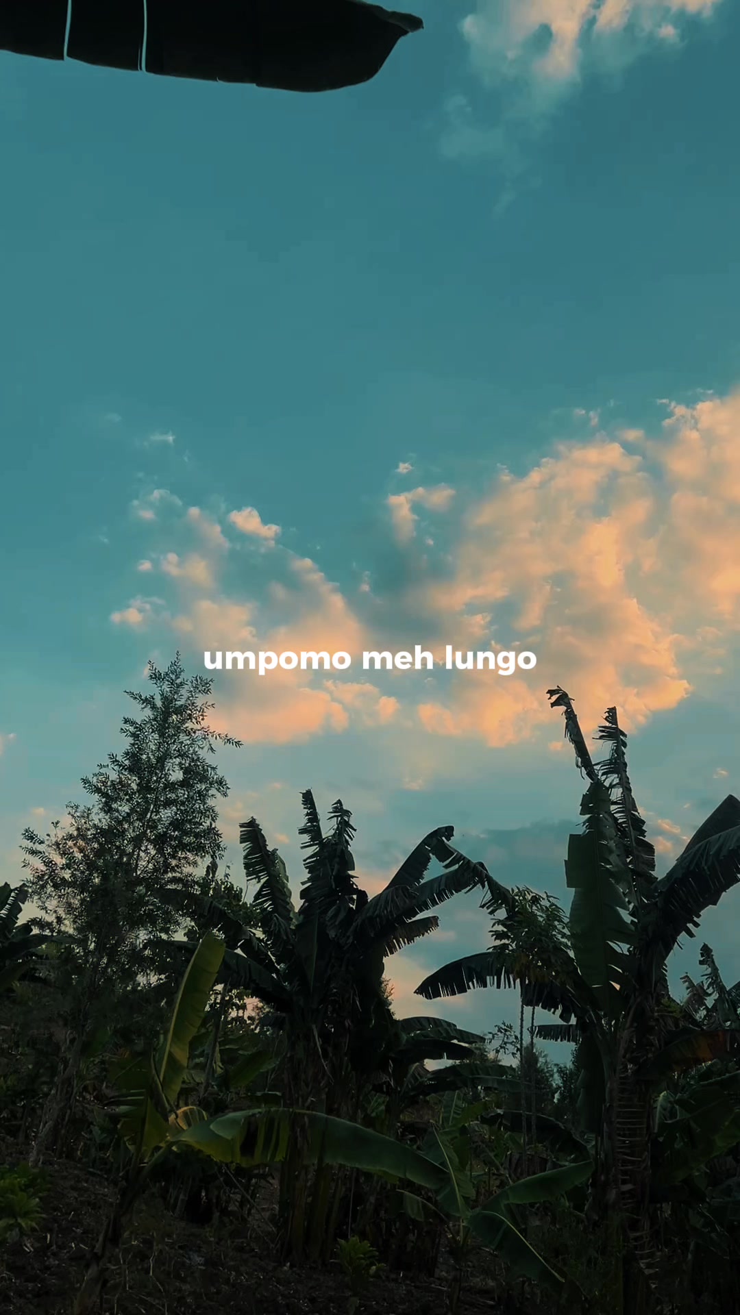 @mentari senja