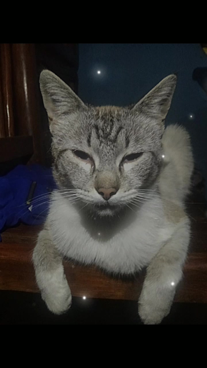 @https://www.tiktok.com/@bachit