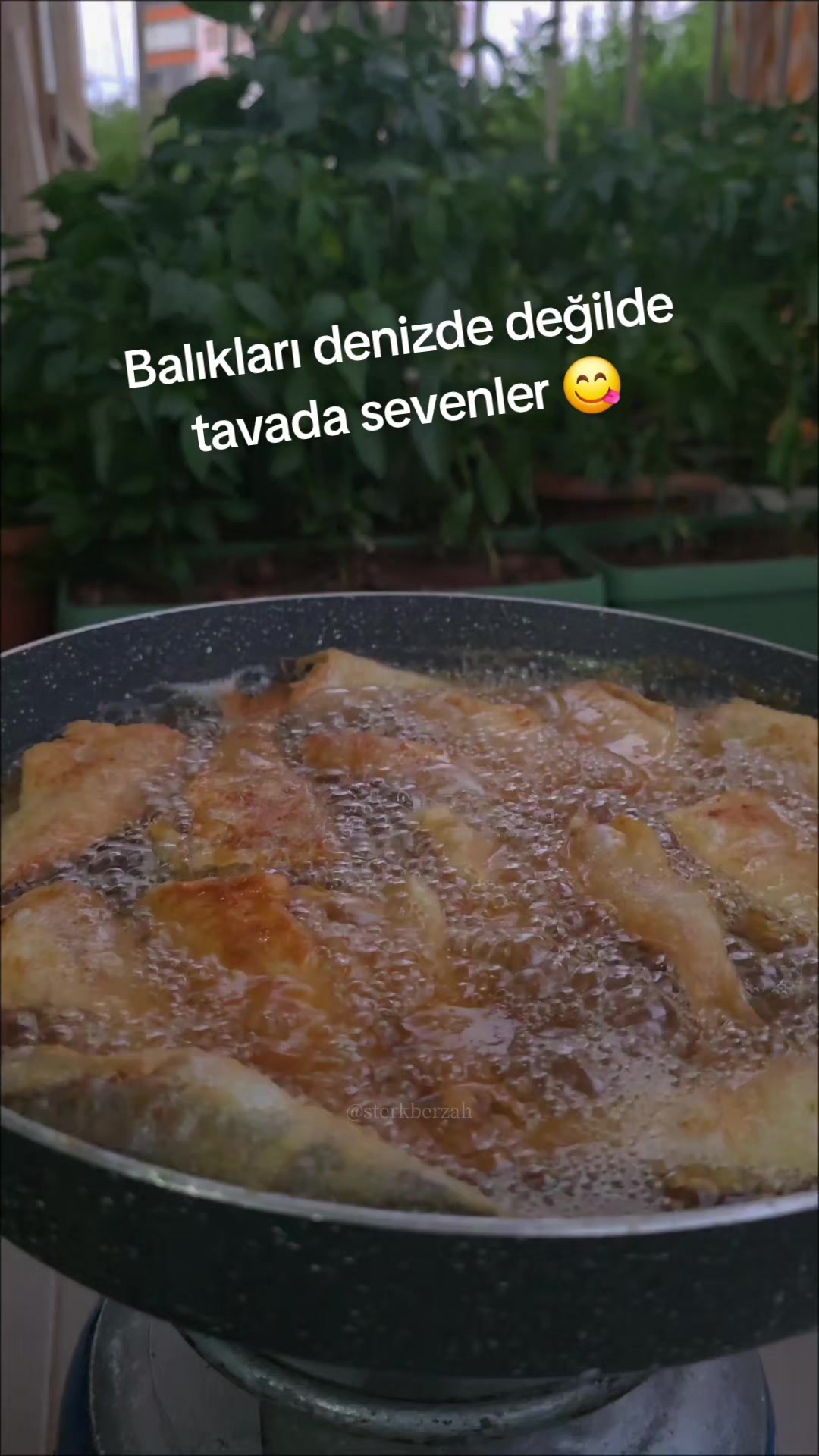 @🍀 EMİNE🍀