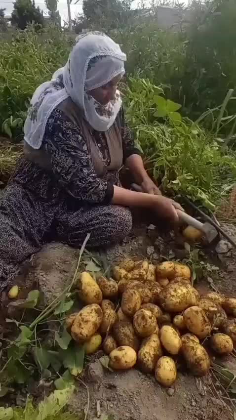 @Tanjucoskun51