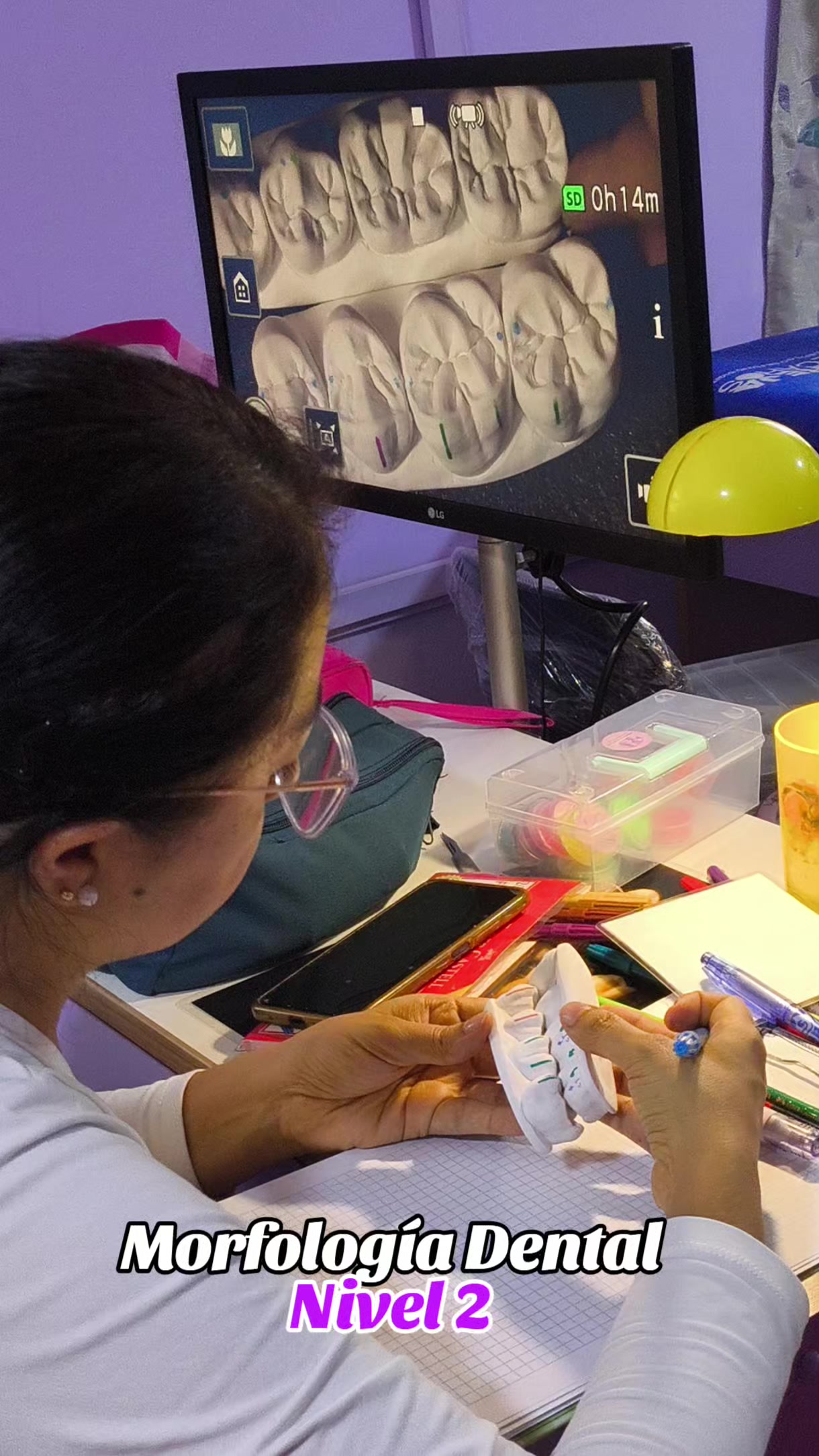 @CBM MORFOLOG&Iacute;A DENTAL