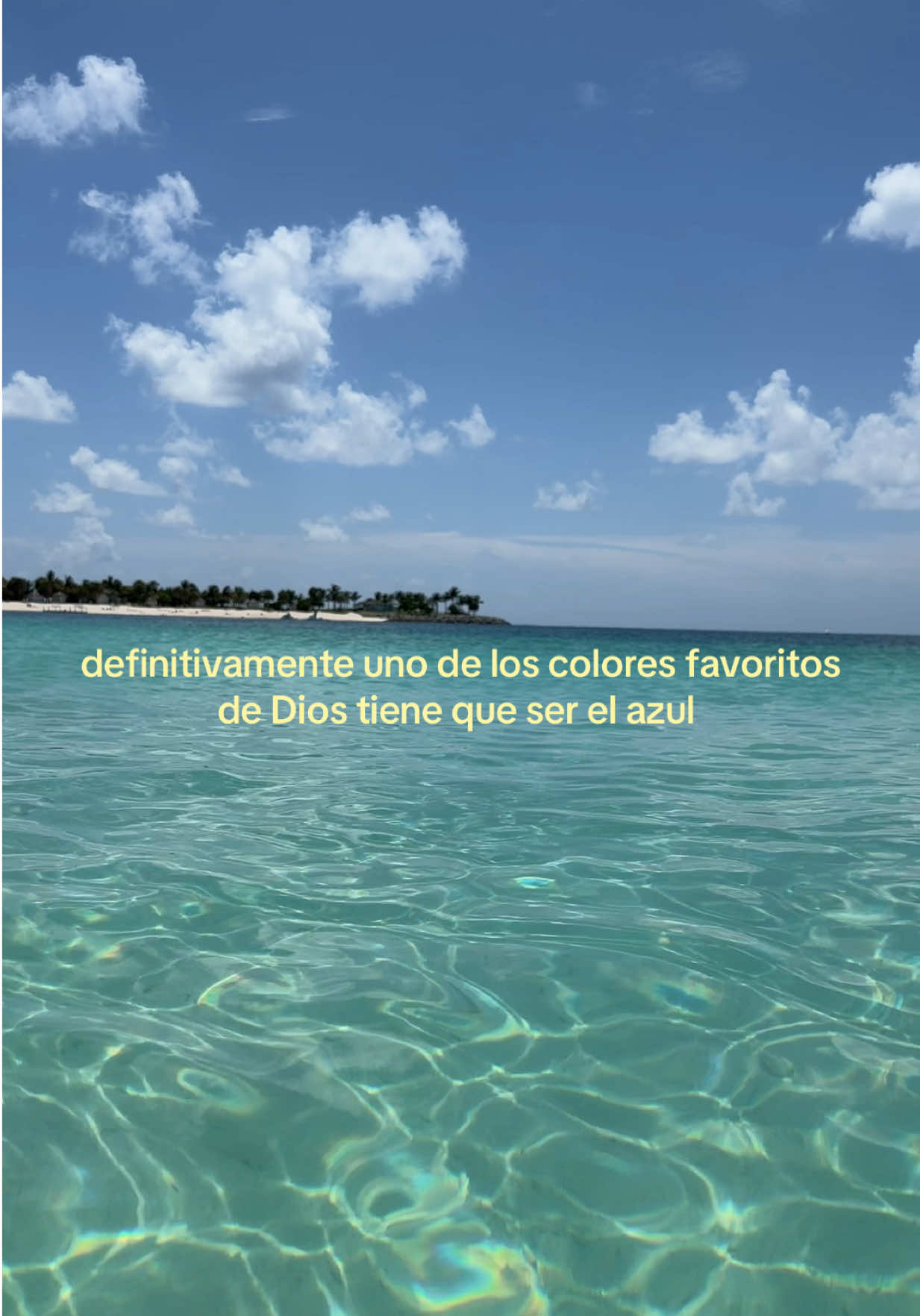 @ximena cifuentes