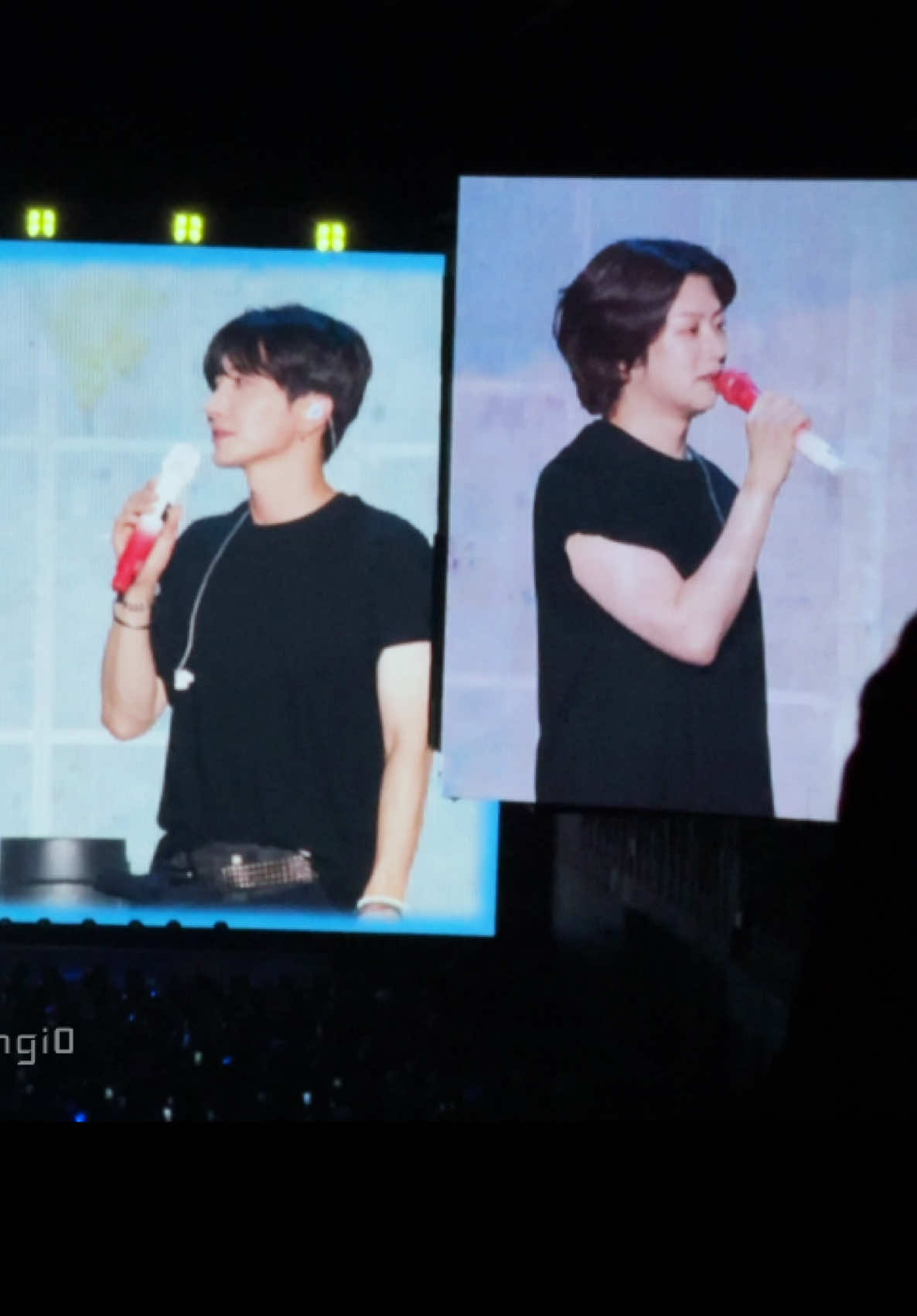 @sue๐๐ฉต elfcarat
