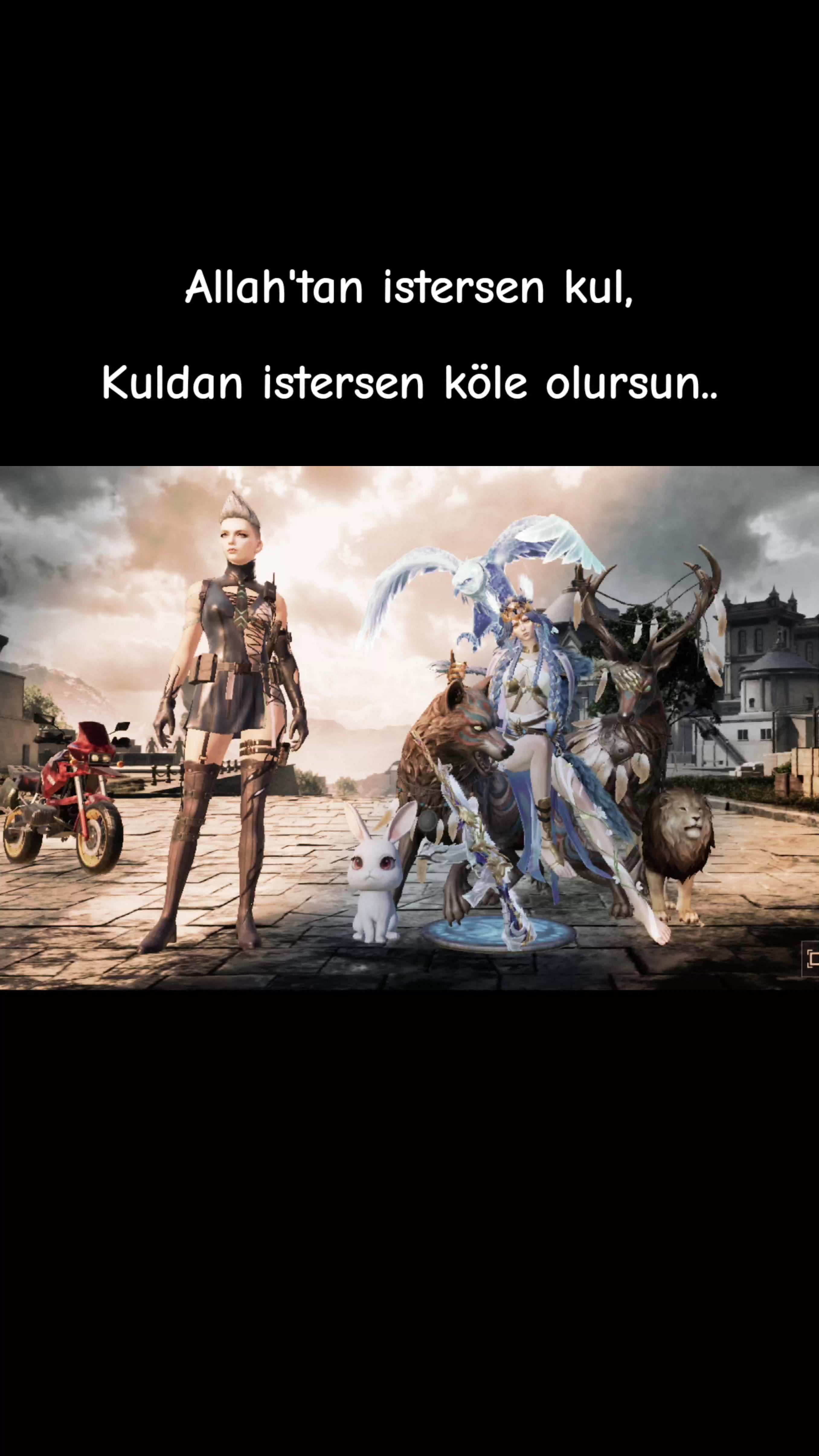 @ミ★ Ne&Ccedil;E🍁 ZOZAN ★彡