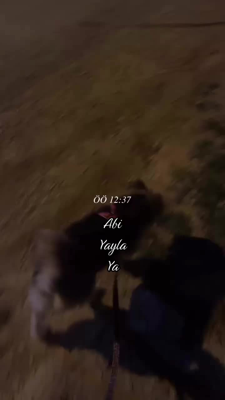 @Edge ☥