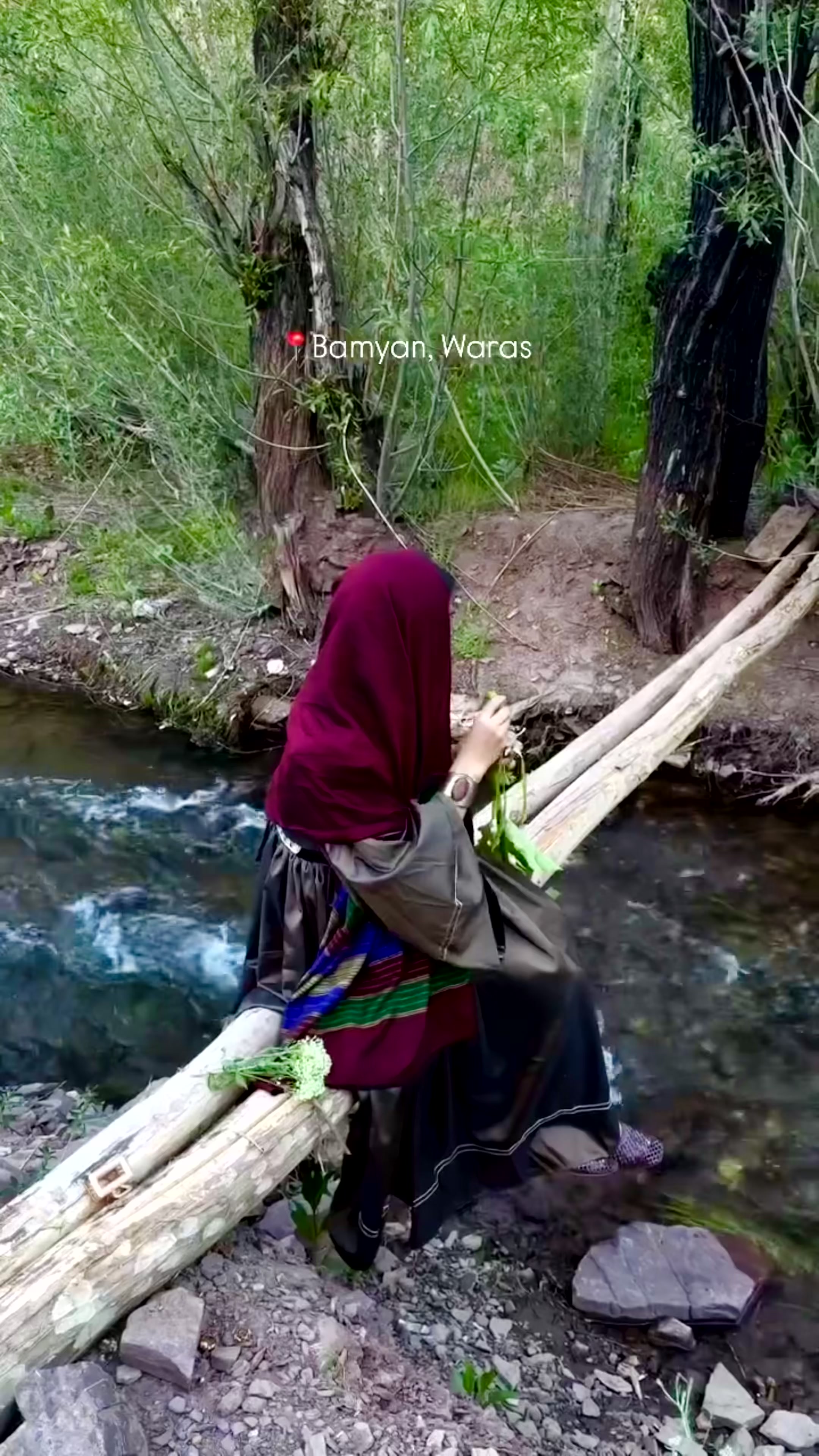 @Shakila Ibrahimi
