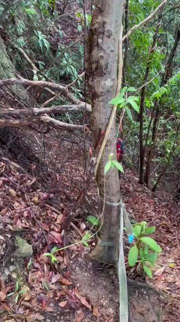 @💌💘Cinta Gunung 💞🕊️
