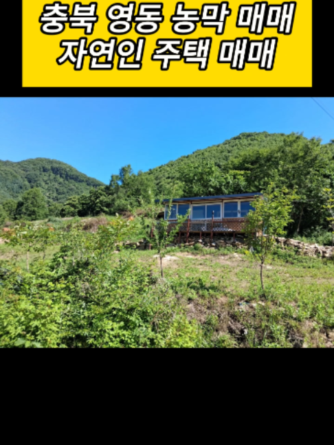 @시골집 한옥 전원주택 귀농 귀촌 시골 한달살기 촌캉스