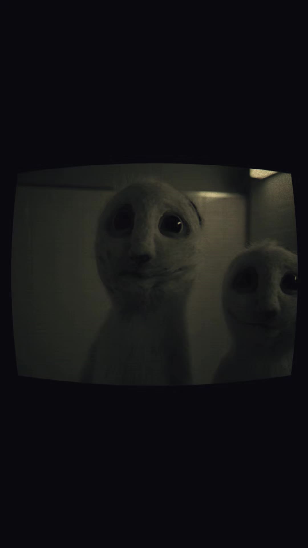 @nightfound