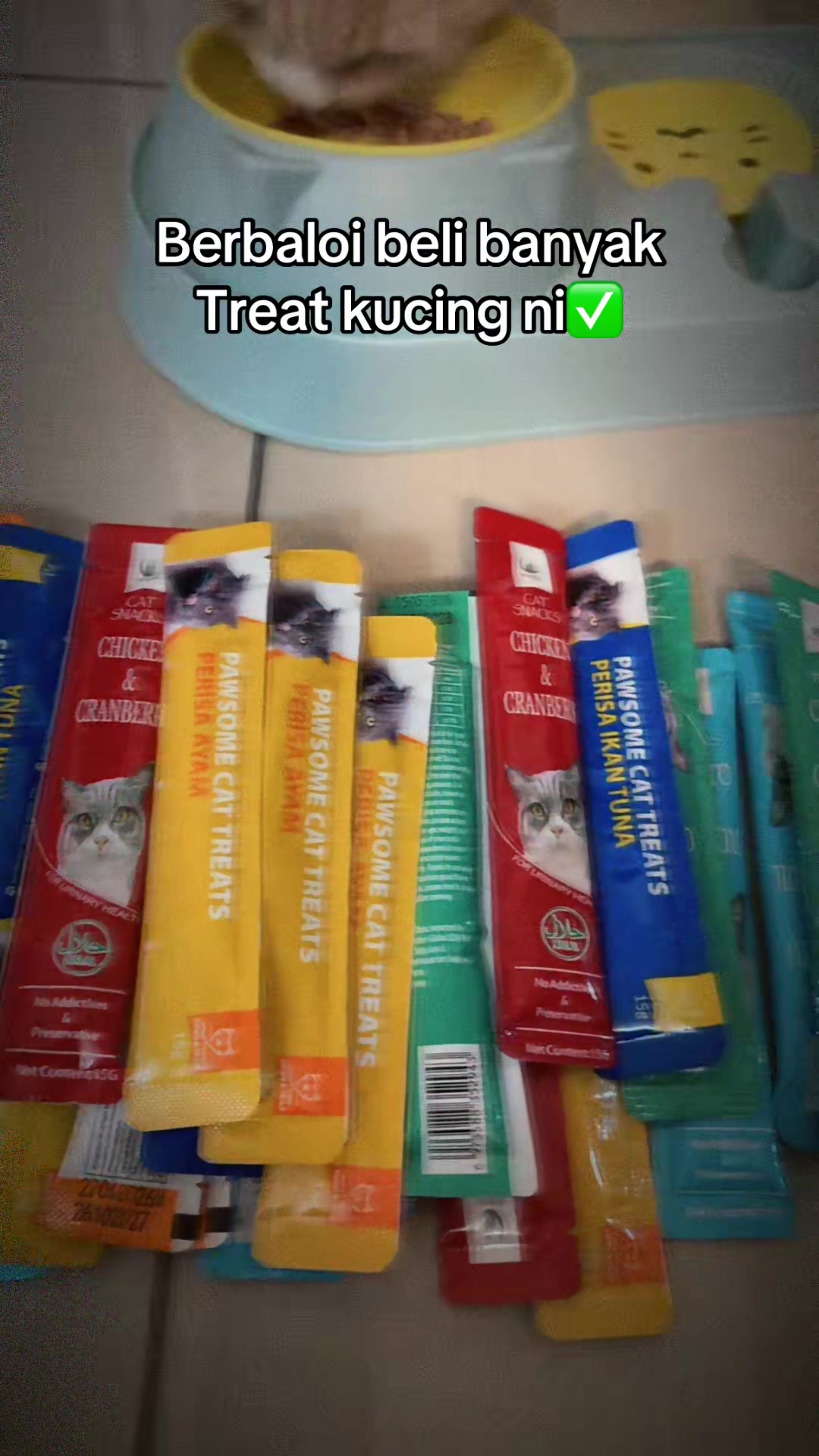 @coachmetafizikedzry