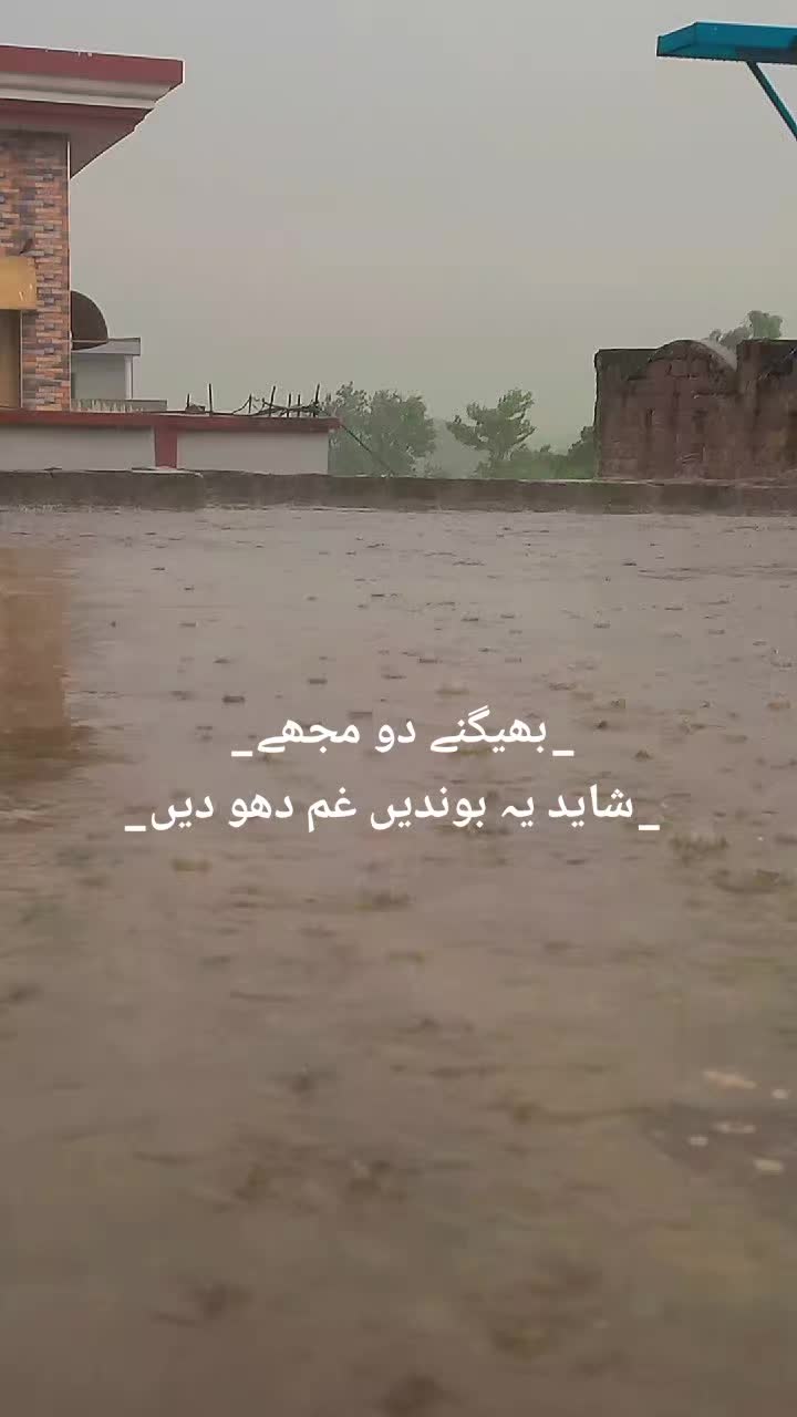@Fariha Hassaan❤️