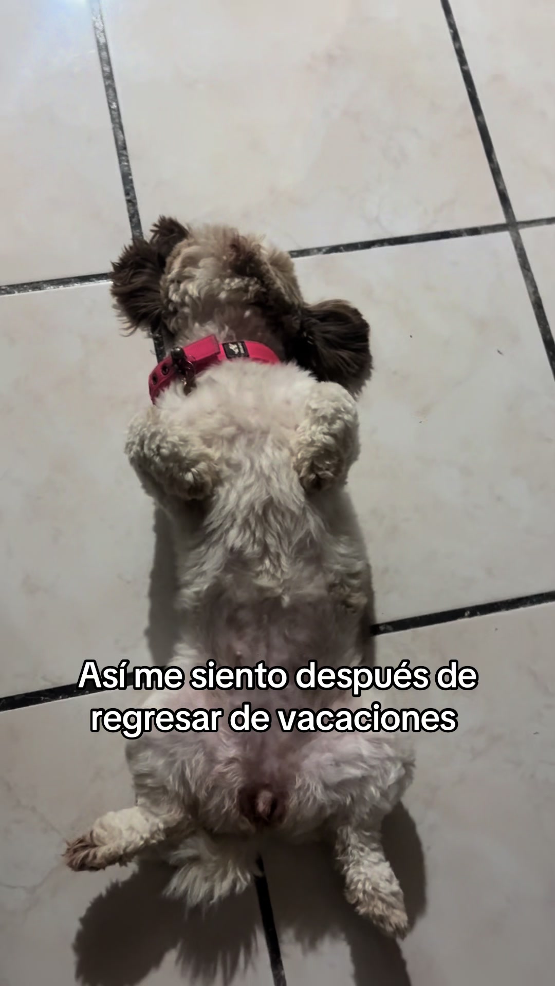 @Diana Salazar