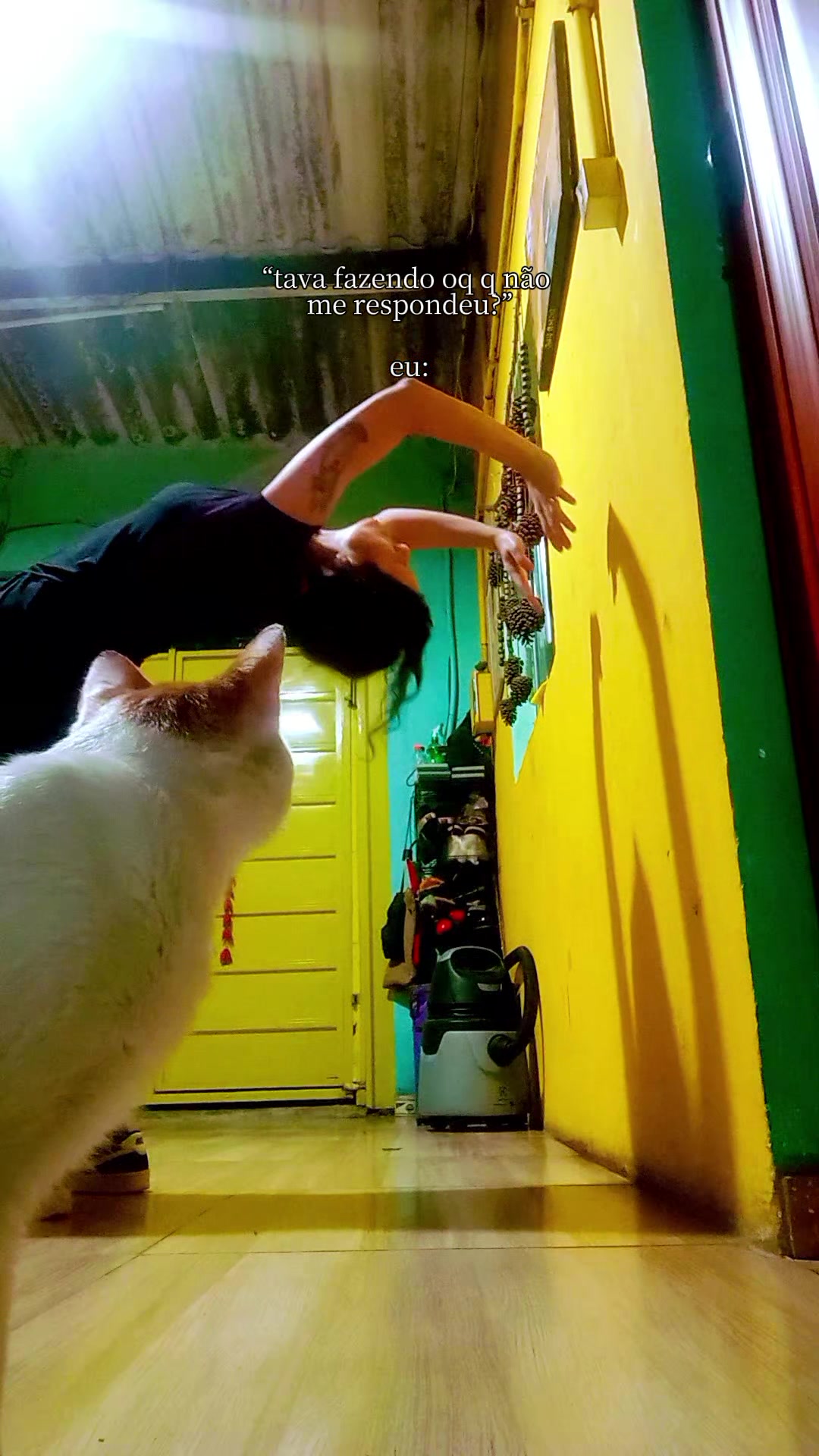 @Gato Xadrez