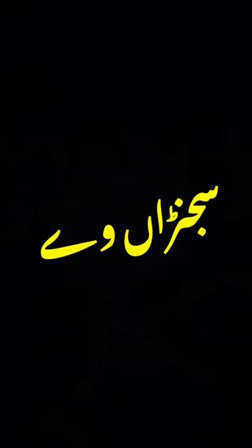 @✨ Zidi لڑکا ✨