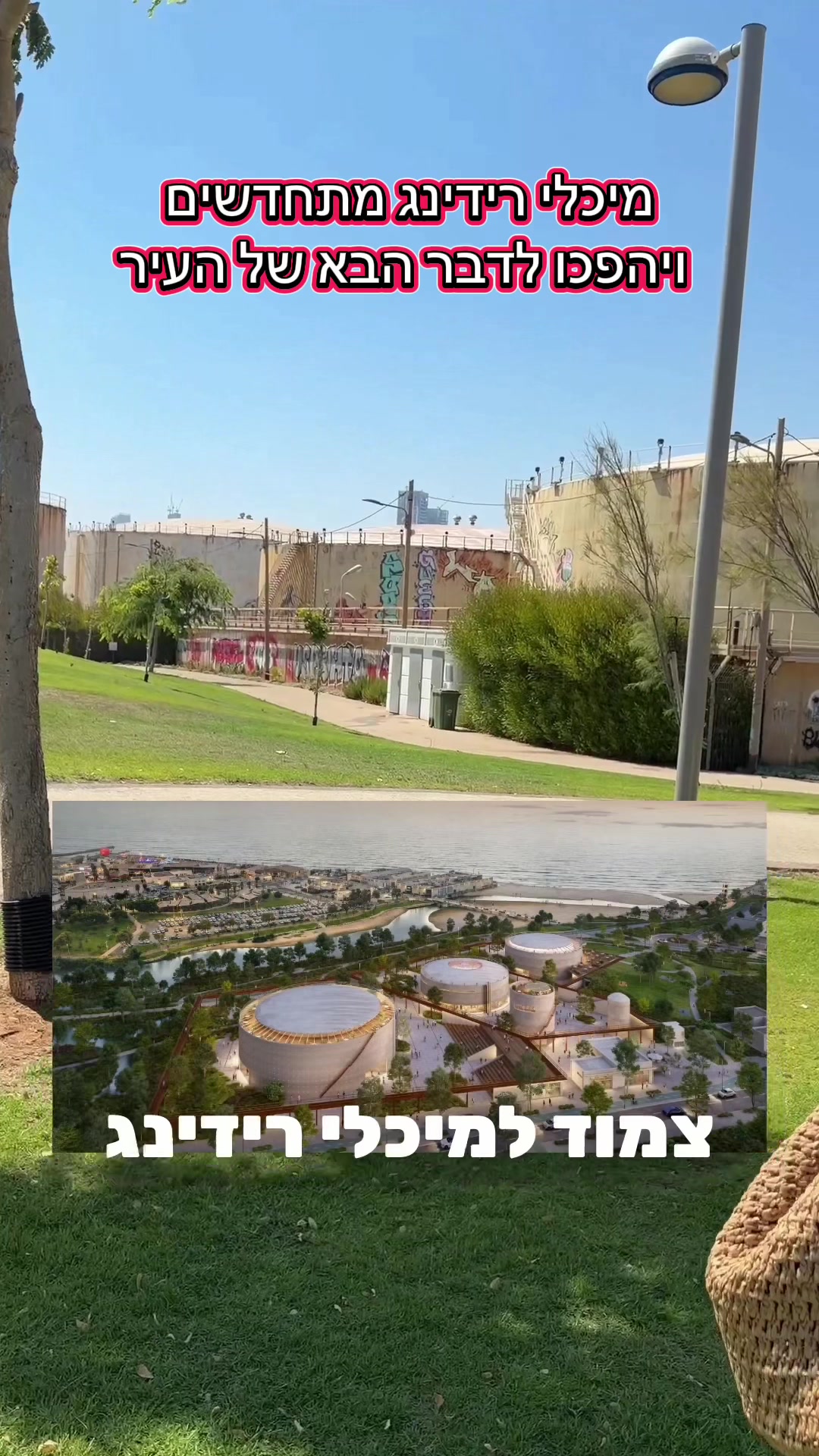 @ציפי ברנד
