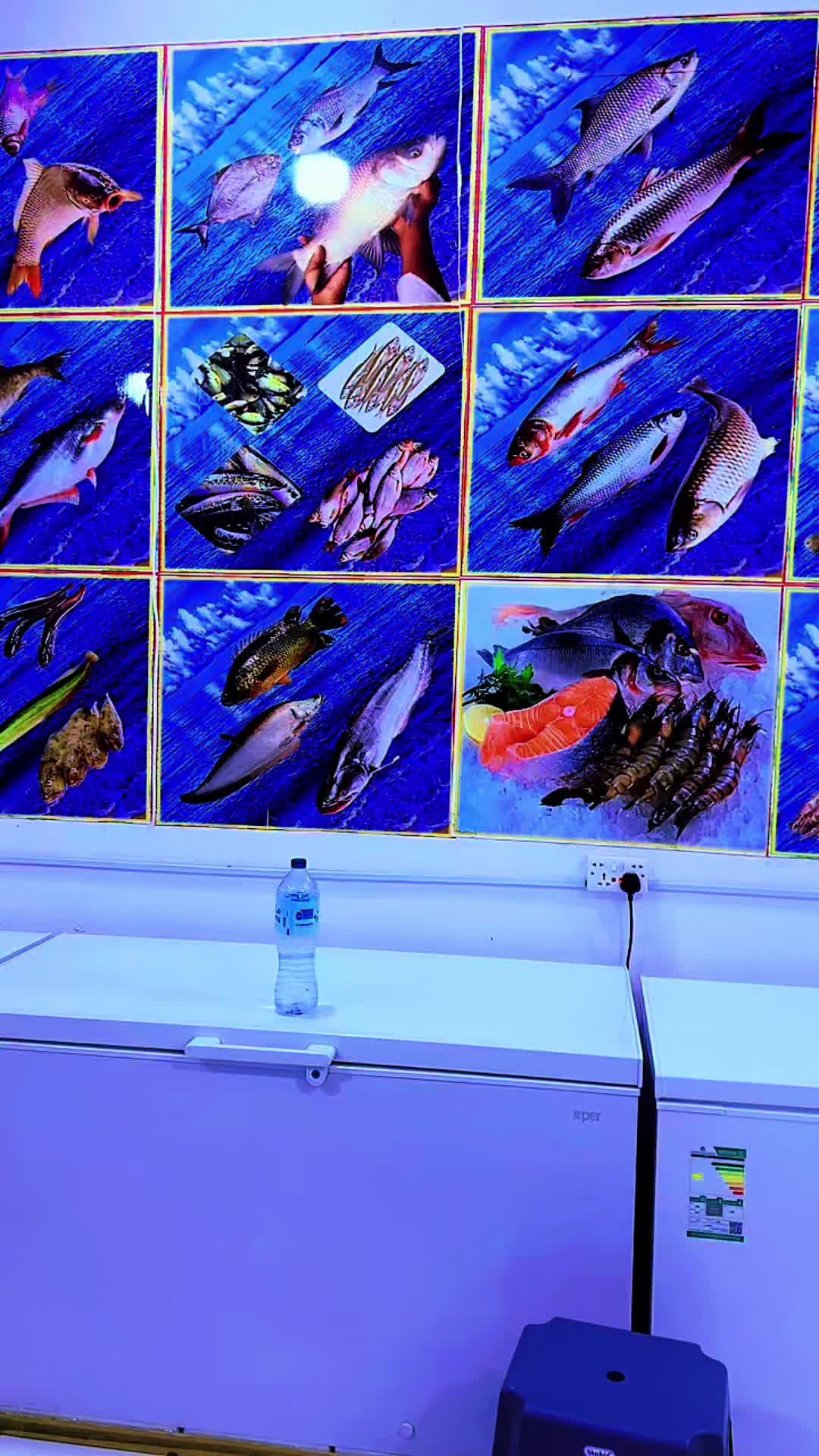 @sherkhansherkha52