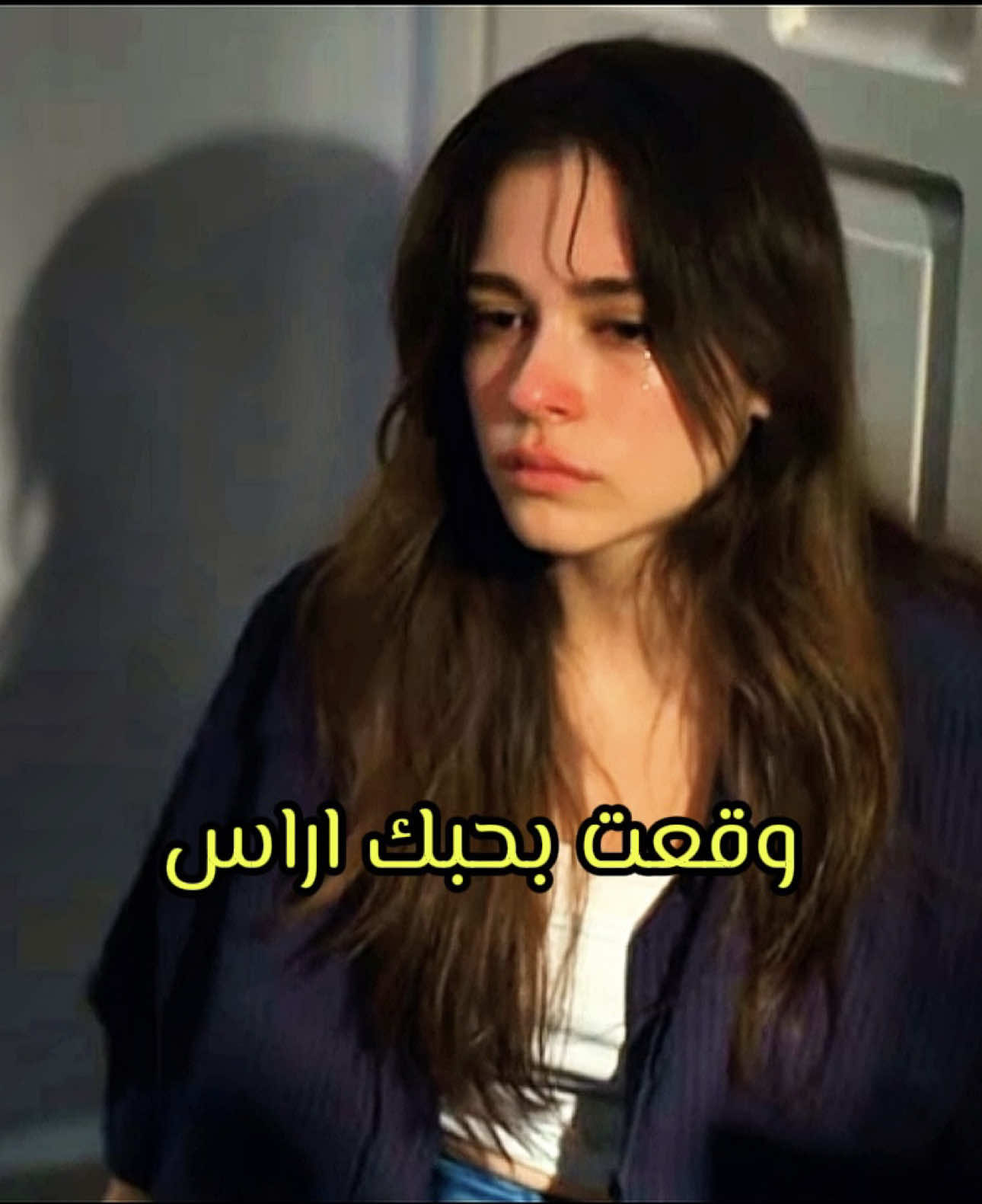 @Shef🦉