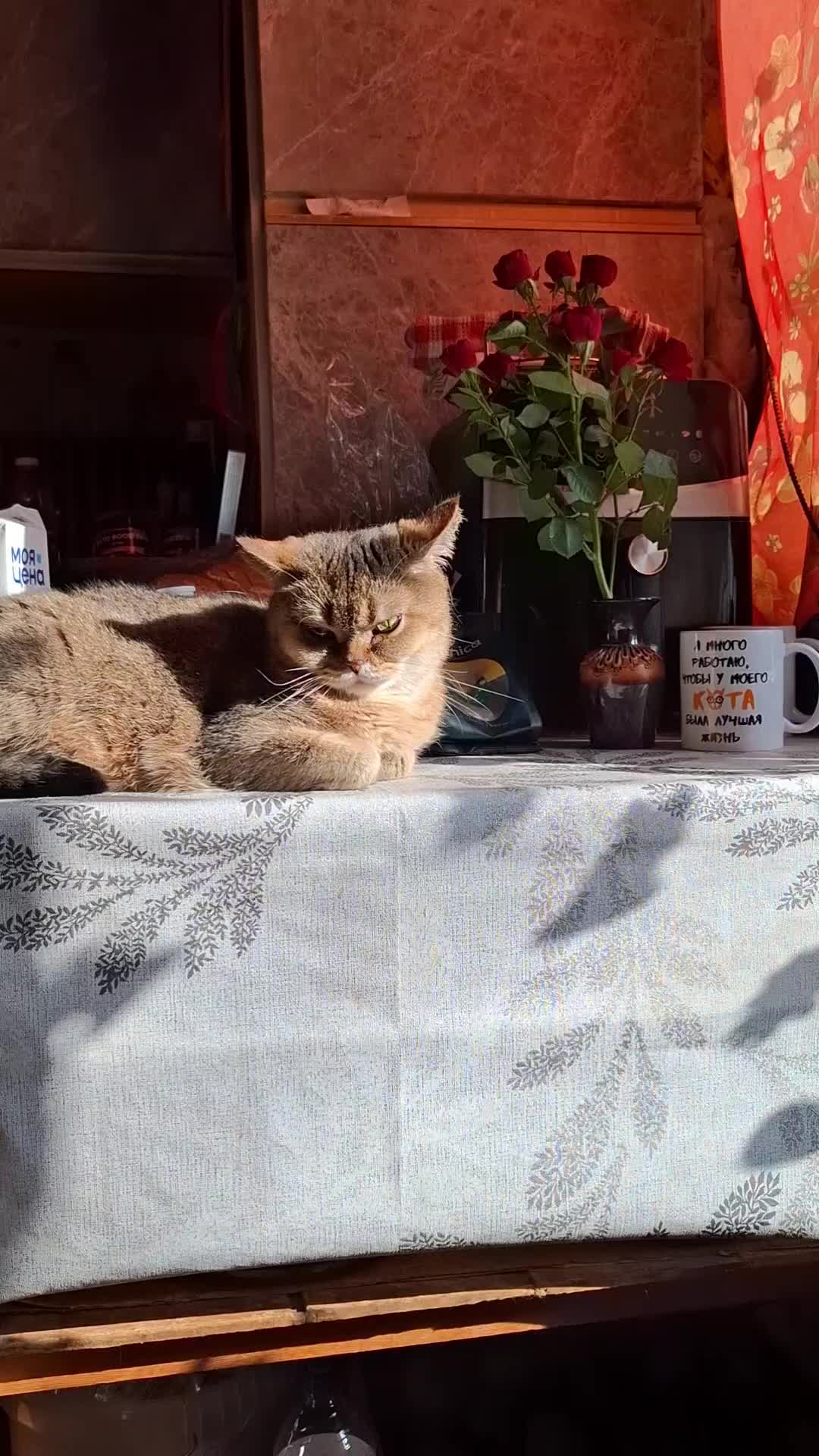 @Жанночка