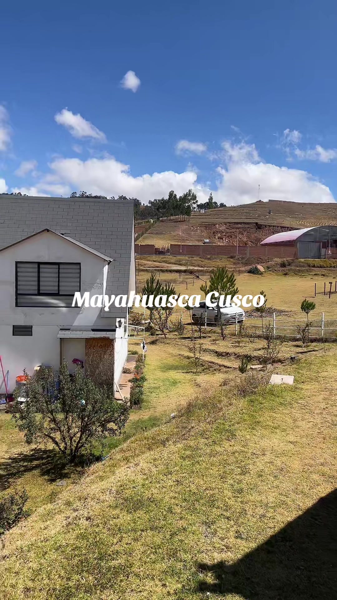 @Mayahuasca❤️